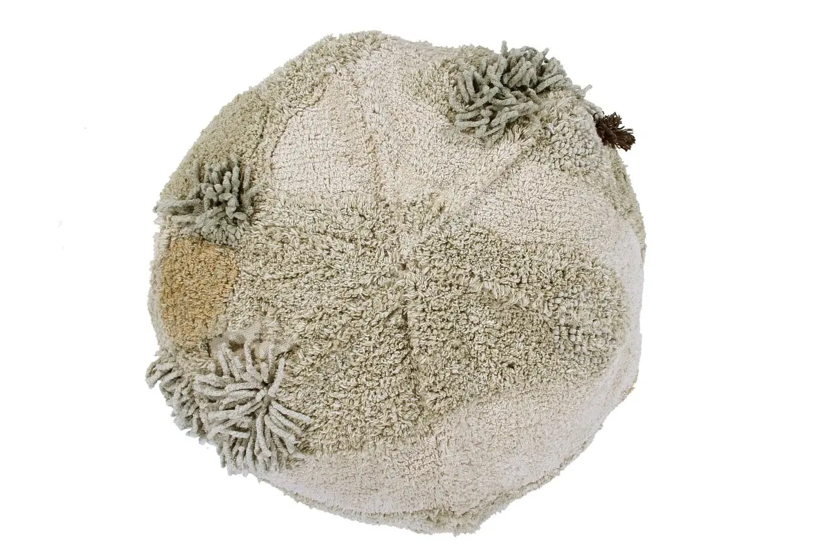 Image du produit 11